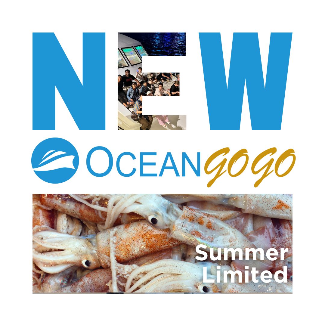 Oceangogo擁有多年釣墨魚包船服務經驗