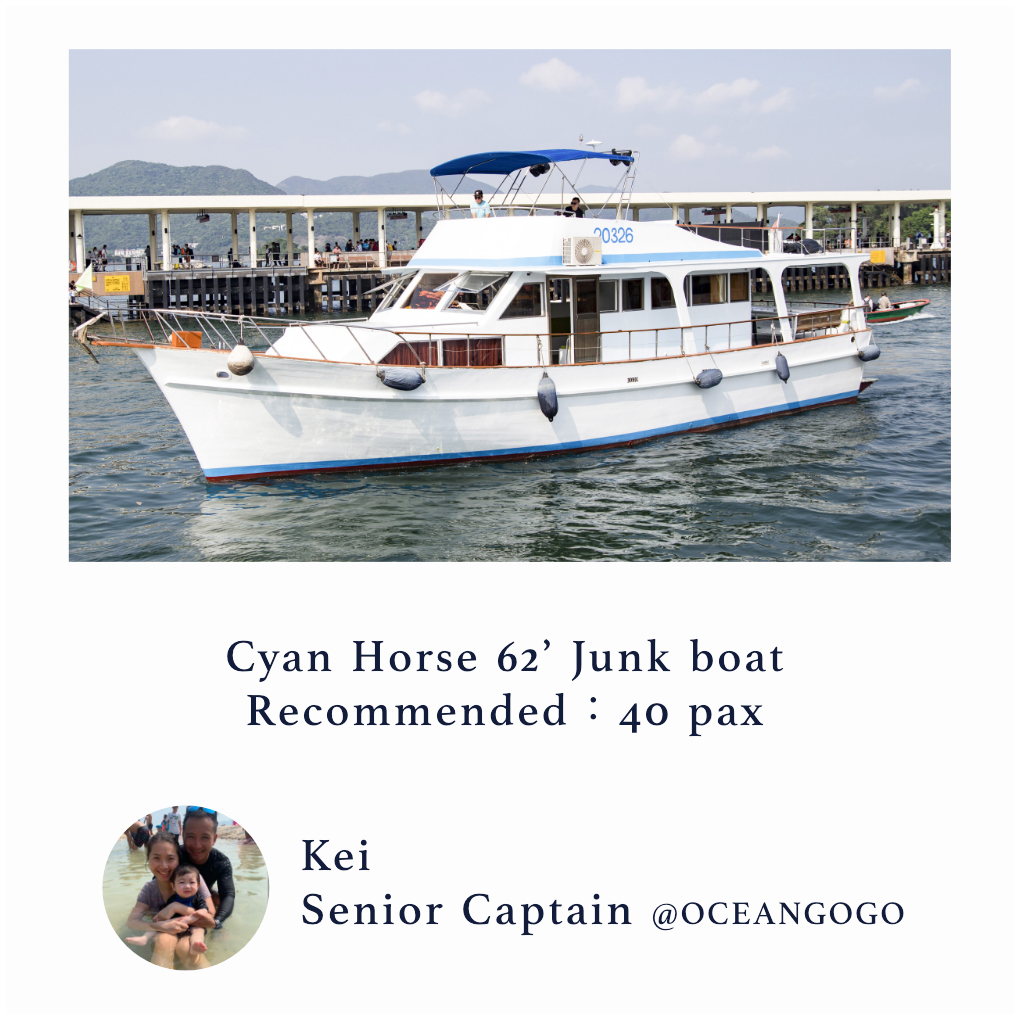 Cyan Horse junk boat