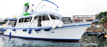 Legend horse chinese style boat