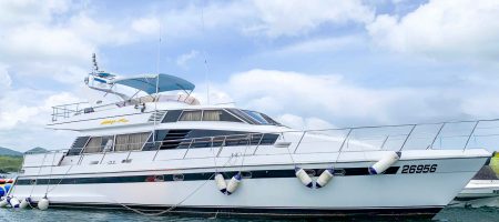 Vitect princess western style yacht
