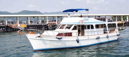 Cyan horse chinese style boat